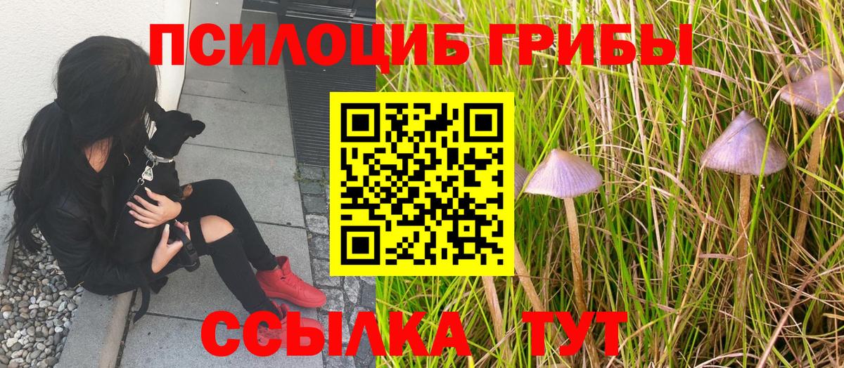 Галлюциногенные грибы Psilocybine cubensis Первоуральск